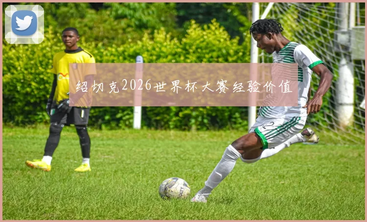 绍切克2026世界杯大赛经验价值