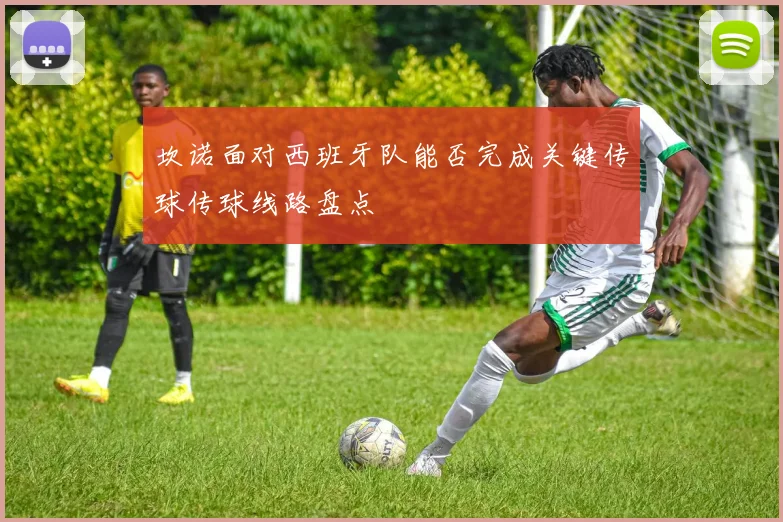 坎诺面对西班牙队能否完成关键传球传球线路盘点