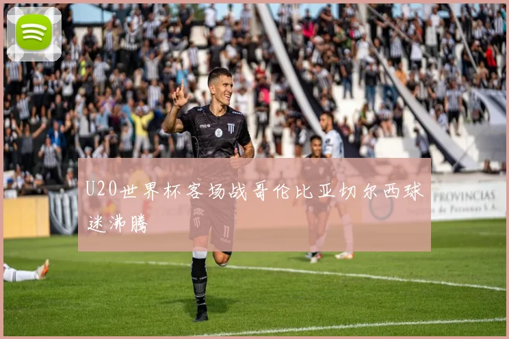 U20世界杯客场战哥伦比亚切尔西球迷沸腾