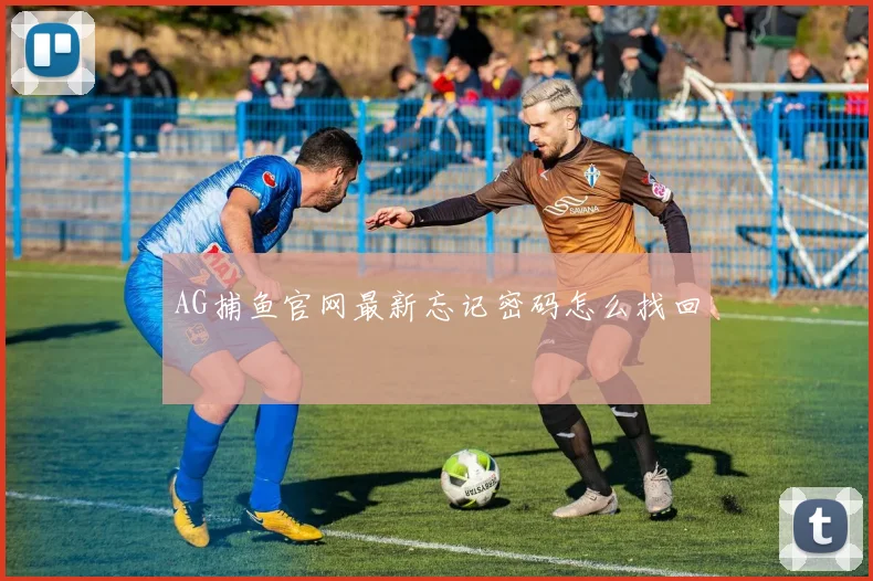 AG捕鱼官网最新忘记密码怎么找回